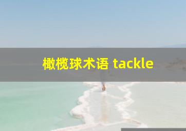 橄榄球术语 tackle